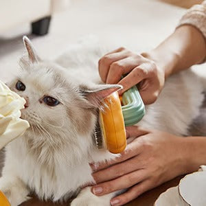 Self-Cleaning Dog & Cat Slicker Brush